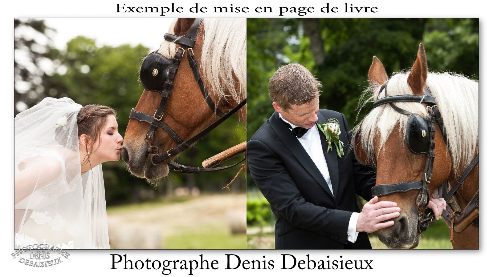 Démo-2013