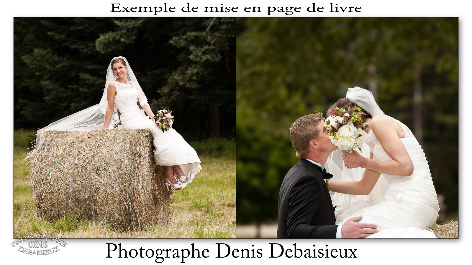 Démo-2013