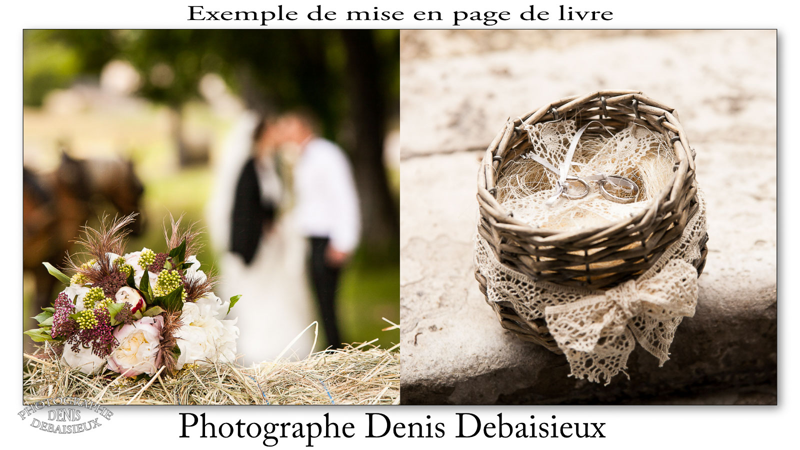 Démo-2013