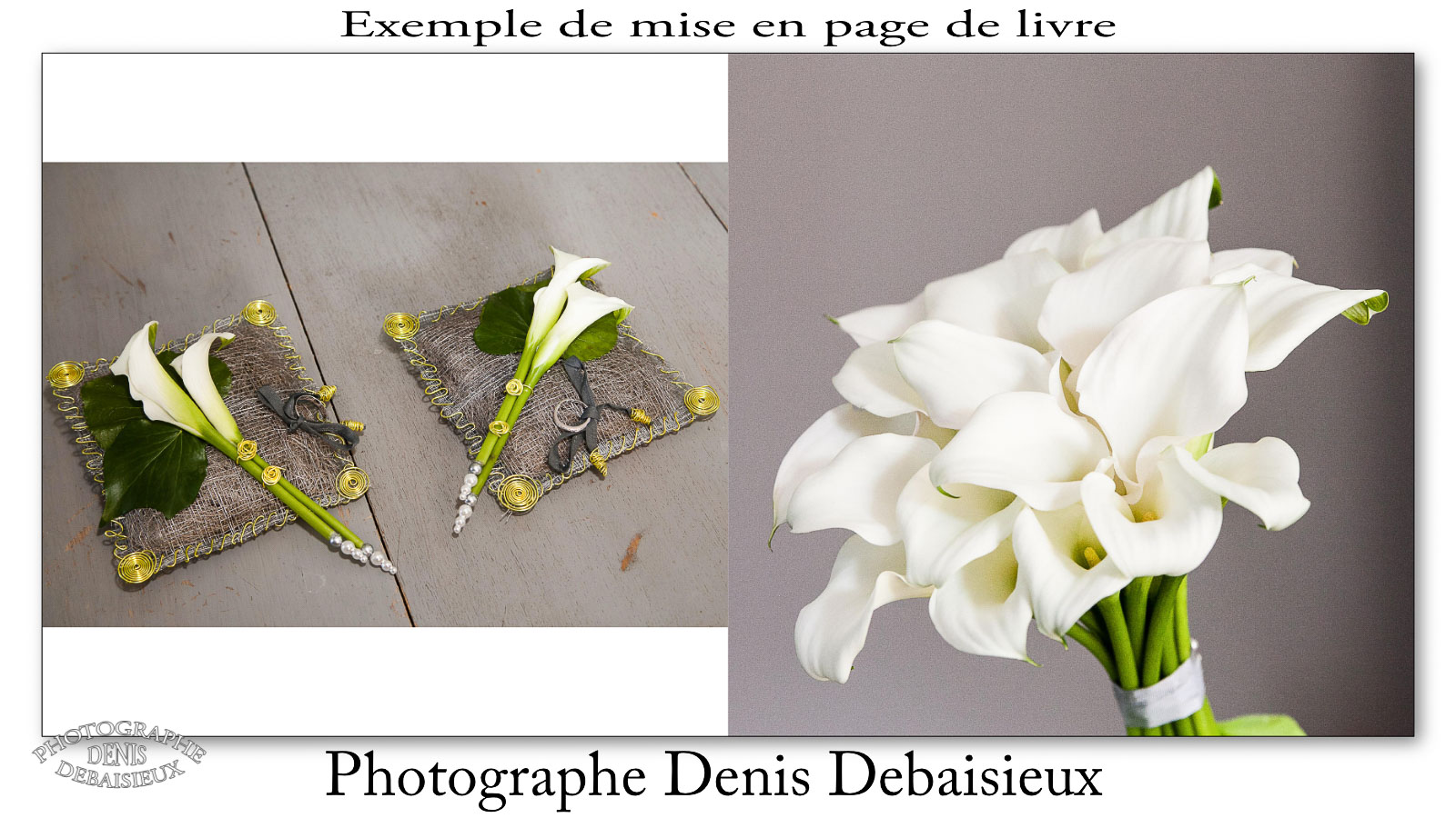 Démo-2013